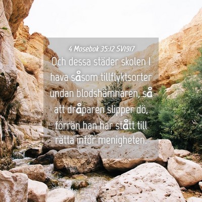 Picture 04 - 4 Mosebok 35:12 SV1917 - Och dessa städer skolen I hava såsom - Bible Verse Picture