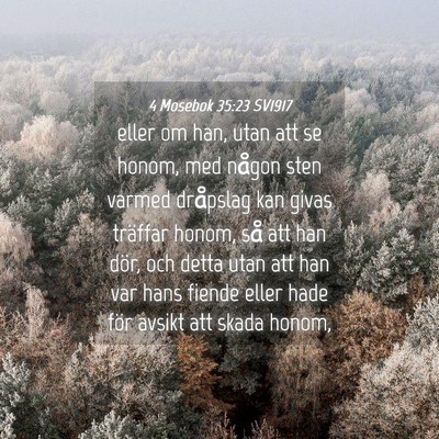 Picture 04 - 4 Mosebok 35:23 SV1917 - eller om han, utan att se honom, med någon sten - Bible Verse Picture