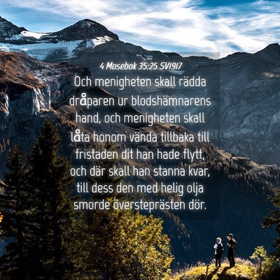 Picture 04 - 4 Mosebok 35:25 SV1917 - Och menigheten skall rädda dråparen ur - Bible Verse Picture