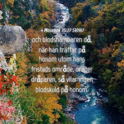 Picture 04 - 4 Mosebok 35:27 SV1917 - och blodshämnaren då, när han träffar på - Bible Verse Picture