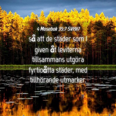 Picture 04 - 4 Mosebok 35:7 SV1917 - så att de städer som I given åt leviterna - Bible Verse Picture