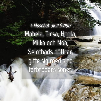 Picture 04 - 4 Mosebok 36:11 SV1917 - Mahela, Tirsa, Hogla, Milka och Noa, Selofhads - Bible Verse Picture