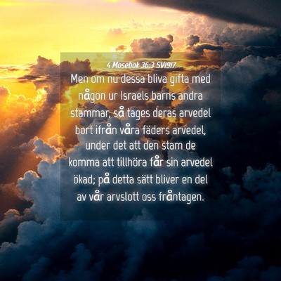 Picture 04 - 4 Mosebok 36:3 SV1917 - Men om nu dessa bliva gifta med någon ur Israels - Bible Verse Picture