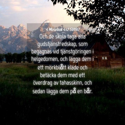 Picture 04 - 4 Mosebok 4:12 SV1917 - Och de skola taga alla gudstjänstredskap, som - Bible Verse Picture