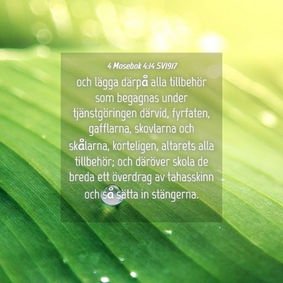 Picture 04 - 4 Mosebok 4:14 SV1917 - och lägga därpå alla tillbehör som begagnas - Bible Verse Picture