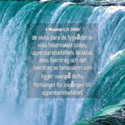Picture 04 - 4 Mosebok 4:25 SV1917 - de skola bära de tygvåder av vilka tabernaklet - Bible Verse Picture