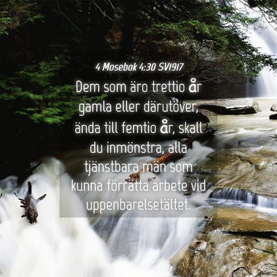 Picture 04 - 4 Mosebok 4:30 SV1917 - Dem som äro trettio år gamla eller därutöver, - Bible Verse Picture