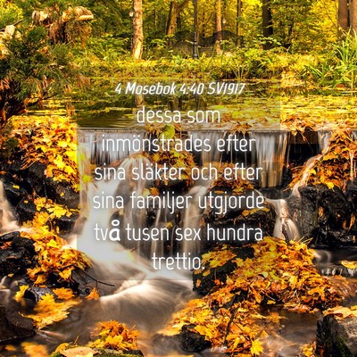 Picture 04 - 4 Mosebok 4:40 SV1917 - dessa som inmönstrades efter sina släkter och - Bible Verse Picture