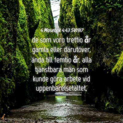 Picture 04 - 4 Mosebok 4:43 SV1917 - de som voro trettio år gamla eller därutöver, - Bible Verse Picture