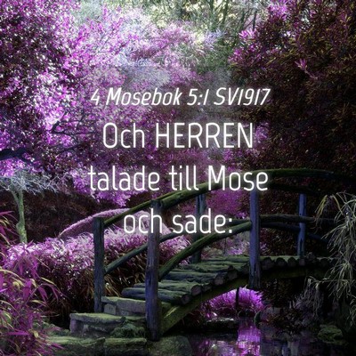 Picture 04 - 4 Mosebok 5:1 SV1917 - Och HERREN talade till Mose och - Bible Verse Picture
