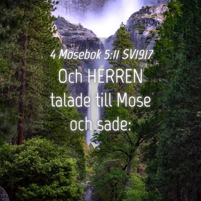 Picture 04 - 4 Mosebok 5:11 SV1917 - Och HERREN talade till Mose och - Bible Verse Picture