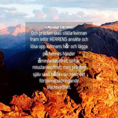 Picture 04 - 4 Mosebok 5:18 SV1917 - Och prästen skall ställa kvinnan fram inför - Bible Verse Picture
