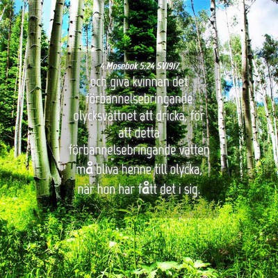 Picture 04 - 4 Mosebok 5:24 SV1917 - och giva kvinnan det förbannelsebringande - Bible Verse Picture