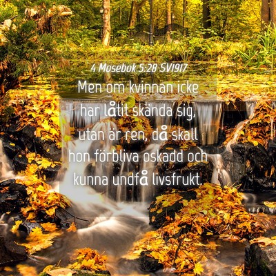 Picture 04 - 4 Mosebok 5:28 SV1917 - Men om kvinnan icke har låtit skända sig, utan - Bible Verse Picture
