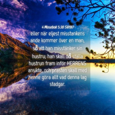 Picture 04 - 4 Mosebok 5:30 SV1917 - eller när eljest misstankens ande kommer över - Bible Verse Picture