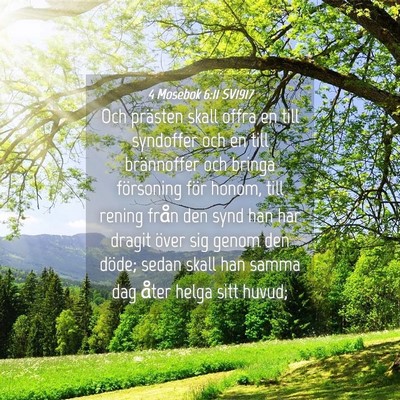 Picture 04 - 4 Mosebok 6:11 SV1917 - Och prästen skall offra en till syndoffer och en - Bible Verse Picture
