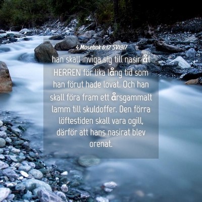 Picture 04 - 4 Mosebok 6:12 SV1917 - han skall inviga sig till nasir åt HERREN för - Bible Verse Picture