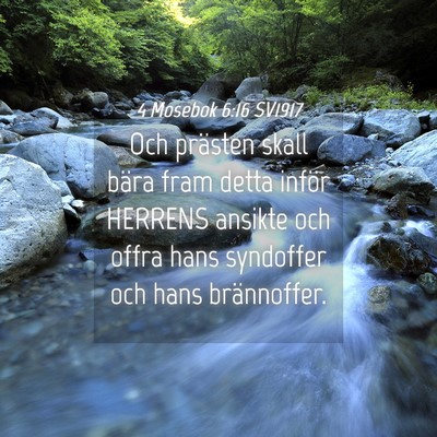 Picture 04 - 4 Mosebok 6:16 SV1917 - Och prästen skall bära fram detta inför - Bible Verse Picture