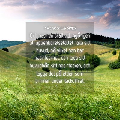 Picture 04 - 4 Mosebok 6:18 SV1917 - Och nasiren skall vid ingången till - Bible Verse Picture