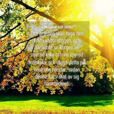 Picture 04 - 4 Mosebok 6:19 SV1917 - Och prästen skall taga den kokta vädursbogen, - Bible Verse Picture