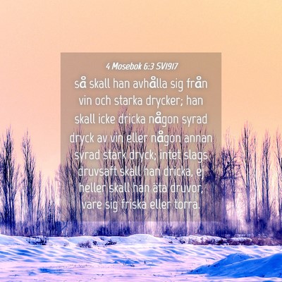 Picture 04 - 4 Mosebok 6:3 SV1917 - så skall han avhålla sig från vin och starka - Bible Verse Picture
