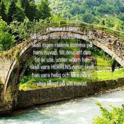 Picture 04 - 4 Mosebok 6:5 SV1917 - Så länge hans nasirlöfte varar, skall ingen - Bible Verse Picture