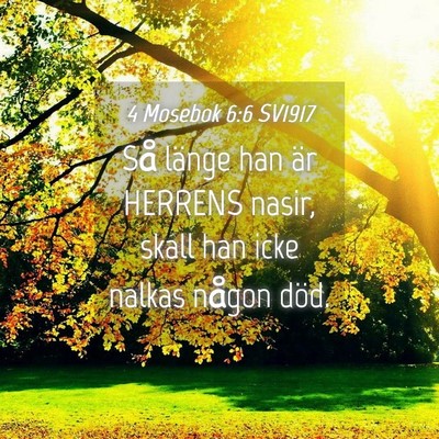 Picture 04 - 4 Mosebok 6:6 SV1917 - Så länge han är HERRENS nasir, skall han icke - Bible Verse Picture