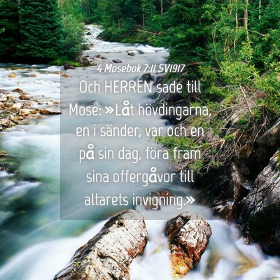 Picture 04 - 4 Mosebok 7:11 SV1917 - Och HERREN sade till Mose: »Låt hövdingarna, - Bible Verse Picture