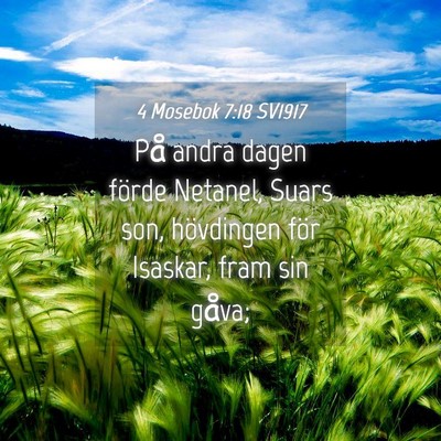 Picture 04 - 4 Mosebok 7:18 SV1917 - På andra dagen förde Netanel, Suars son, - Bible Verse Picture