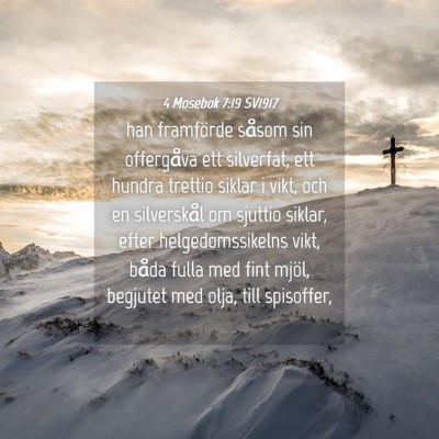 Picture 04 - 4 Mosebok 7:19 SV1917 - han framförde såsom sin offergåva ett - Bible Verse Picture