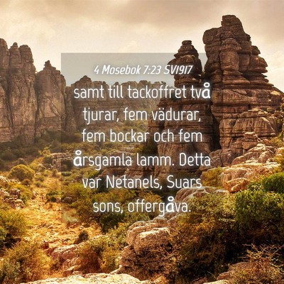 Picture 04 - 4 Mosebok 7:23 SV1917 - samt till tackoffret två tjurar, fem vädurar, - Bible Verse Picture