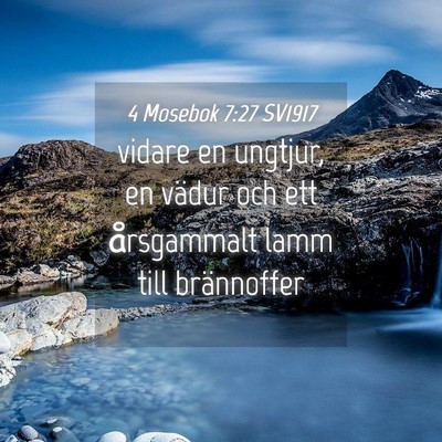 Picture 04 - 4 Mosebok 7:27 SV1917 - vidare en ungtjur, en vädur och ett årsgammalt - Bible Verse Picture
