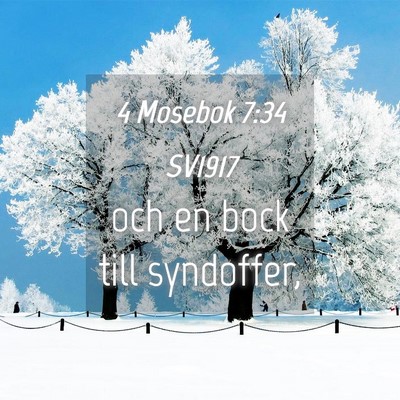 Picture 04 - 4 Mosebok 7:34 SV1917 - och en bock till - Bible Verse Picture
