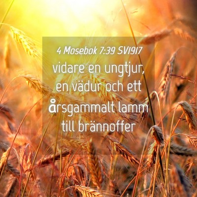 Picture 04 - 4 Mosebok 7:39 SV1917 - vidare en ungtjur, en vädur och ett årsgammalt - Bible Verse Picture