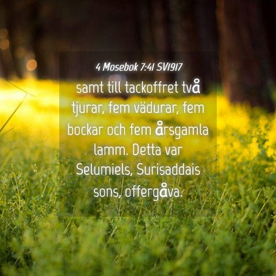 Picture 04 - 4 Mosebok 7:41 SV1917 - samt till tackoffret två tjurar, fem vädurar, - Bible Verse Picture