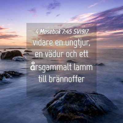 Picture 04 - 4 Mosebok 7:45 SV1917 - vidare en ungtjur, en vädur och ett årsgammalt - Bible Verse Picture