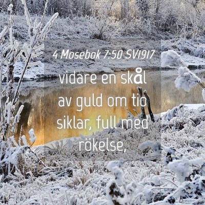 Picture 04 - 4 Mosebok 7:50 SV1917 - vidare en skål av guld om tio siklar, full med - Bible Verse Picture