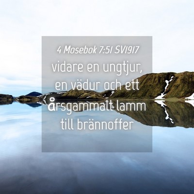 Picture 04 - 4 Mosebok 7:51 SV1917 - vidare en ungtjur, en vädur och ett årsgammalt - Bible Verse Picture
