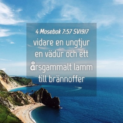 Picture 04 - 4 Mosebok 7:57 SV1917 - vidare en ungtjur en vädur och ett årsgammalt - Bible Verse Picture