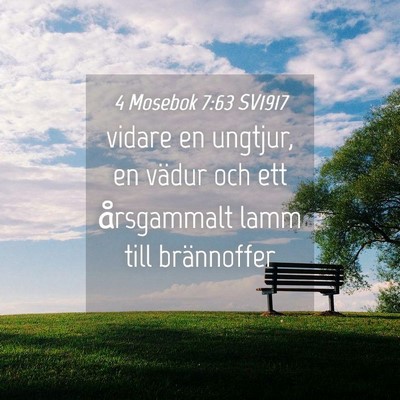 Picture 04 - 4 Mosebok 7:63 SV1917 - vidare en ungtjur, en vädur och ett årsgammalt - Bible Verse Picture
