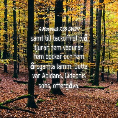 Picture 04 - 4 Mosebok 7:65 SV1917 - samt till tackoffret två tjurar, fem vädurar, - Bible Verse Picture