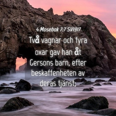 Picture 04 - 4 Mosebok 7:7 SV1917 - Två vagnar och fyra oxar gav han åt Gersons - Bible Verse Picture