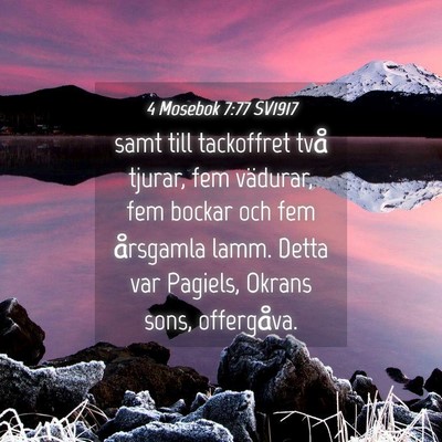 Picture 04 - 4 Mosebok 7:77 SV1917 - samt till tackoffret två tjurar, fem vädurar, - Bible Verse Picture