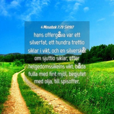 Picture 04 - 4 Mosebok 7:79 SV1917 - hans offergåva var ett silverfat, ett hundra - Bible Verse Picture