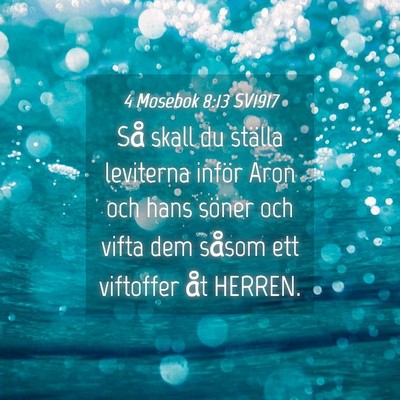 Picture 04 - 4 Mosebok 8:13 SV1917 - Så skall du ställa leviterna inför Aron och - Bible Verse Picture
