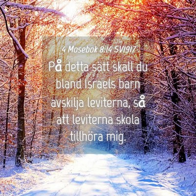 Picture 04 - 4 Mosebok 8:14 SV1917 - På detta sätt skall du bland Israels barn - Bible Verse Picture