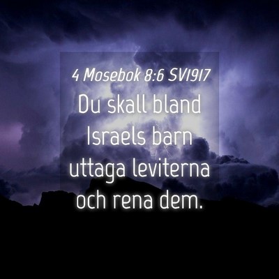 Picture 04 - 4 Mosebok 8:6 SV1917 - Du skall bland Israels barn uttaga leviterna och - Bible Verse Picture