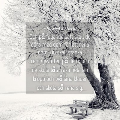 Picture 04 - 4 Mosebok 8:7 SV1917 - Och på följande sätt skall du göra med dem - Bible Verse Picture
