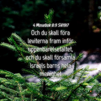 Picture 04 - 4 Mosebok 8:9 SV1917 - Och du skall föra leviterna fram inför - Bible Verse Picture