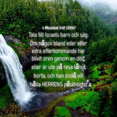 Picture 04 - 4 Mosebok 9:10 SV1917 - Tala till Israels barn och säg: Om någon bland - Bible Verse Picture